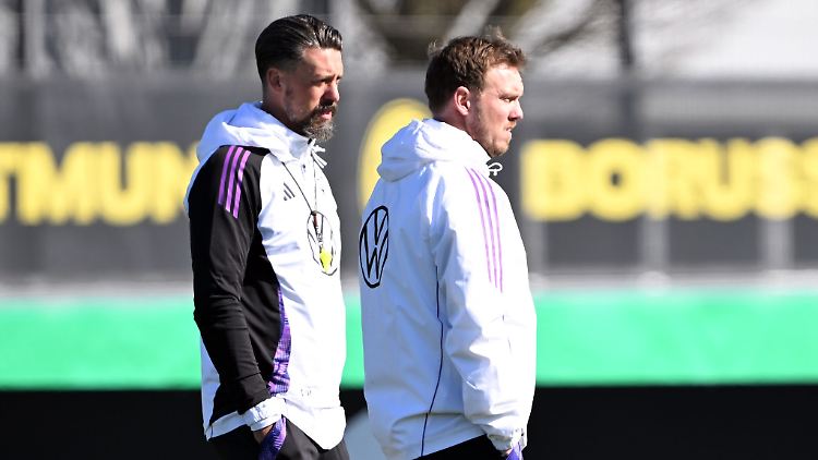 Sandro Wagner (links) und Julian Nagelsmann gehen ab dem Sommer getrennte Wege.