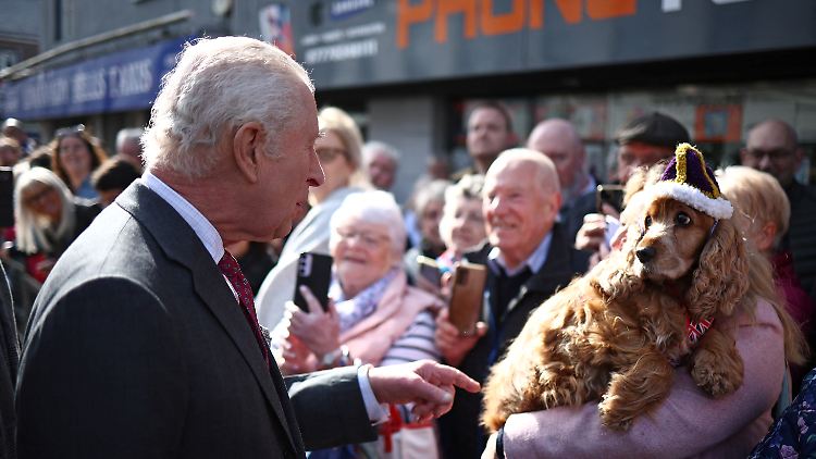 Gekrönte Häupter erkennen einander: König Charles mit Hündin Lily in Limavady.