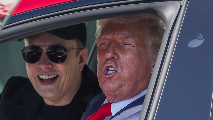 Präsident Trump demontiert, eifrig unterstützt von Milliardär Elon Musk, in rasanter Geschwindigkeit den Rechtsstaat in den USA.