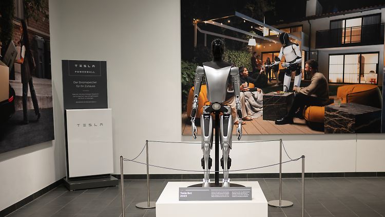 Den humanoiden Roboter Optimus stellte Musk erstmals 2021 vor. 