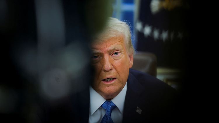 "Trump bietet vor allem weißen Männern ohne höhere Bildung einen Trost", sagt der Historiker Adam Tooze.