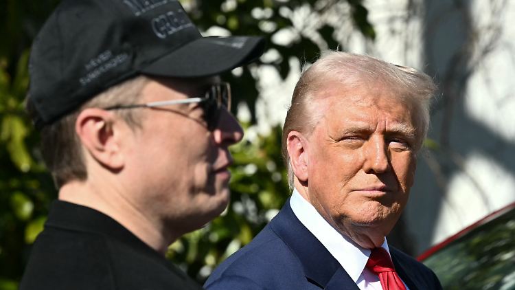 Musk könnte für Trump zur Belastung werden.