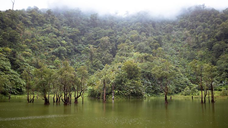 Die sechsköppfige Gruppe wollte in der Nähe des Naturparks Balinsasayao Twin Lakes wandern.