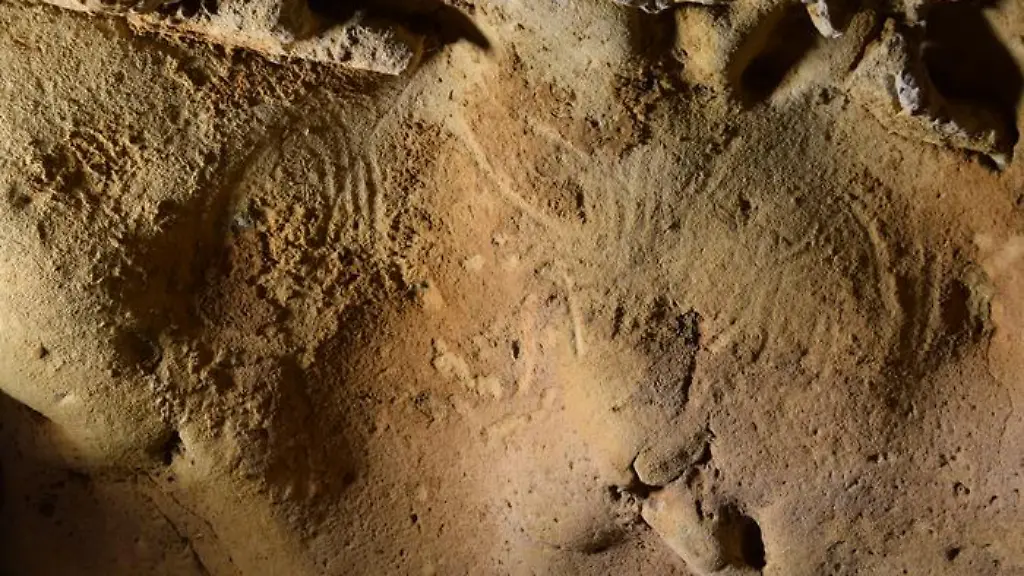 ACHTUNG-Frei-nur-im-Zusammenhang-mit-der-Berichterstattung-ueber-die-Studie