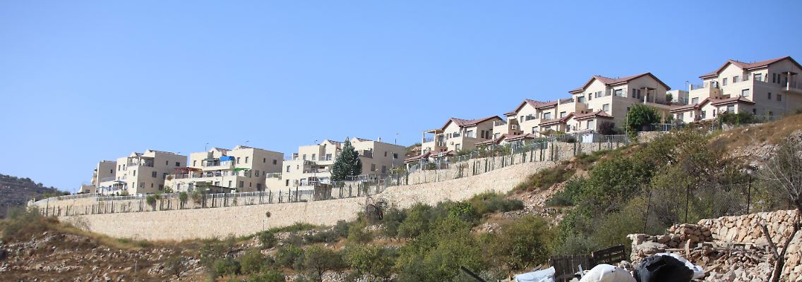 317817848.jpg