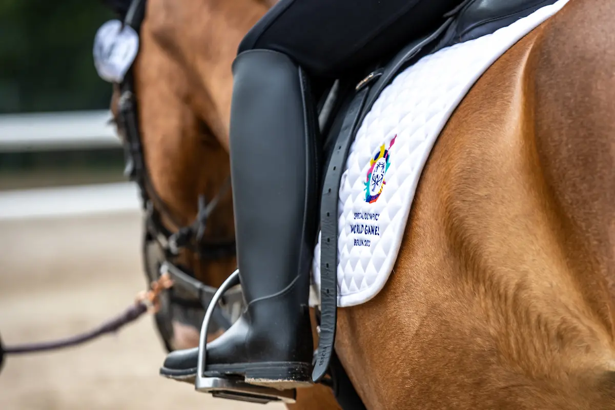 8d676ea54367ffb2db0058430b26c03d