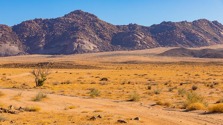In der Wüste von Namibia fanden die Mainzer Forscher rätselhafte Röhrchen.