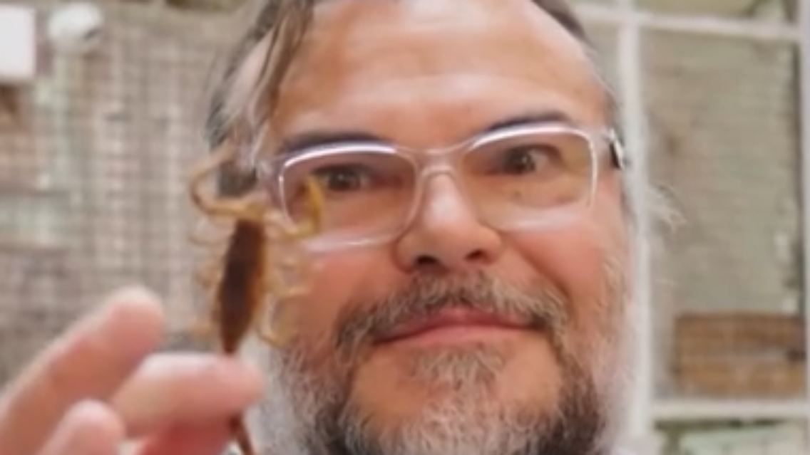 jack.PNG
