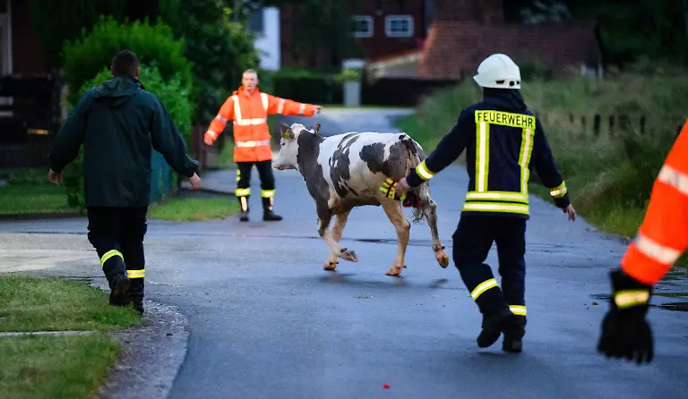 aaf2c56fb4d0e15427d464468cbc0c39