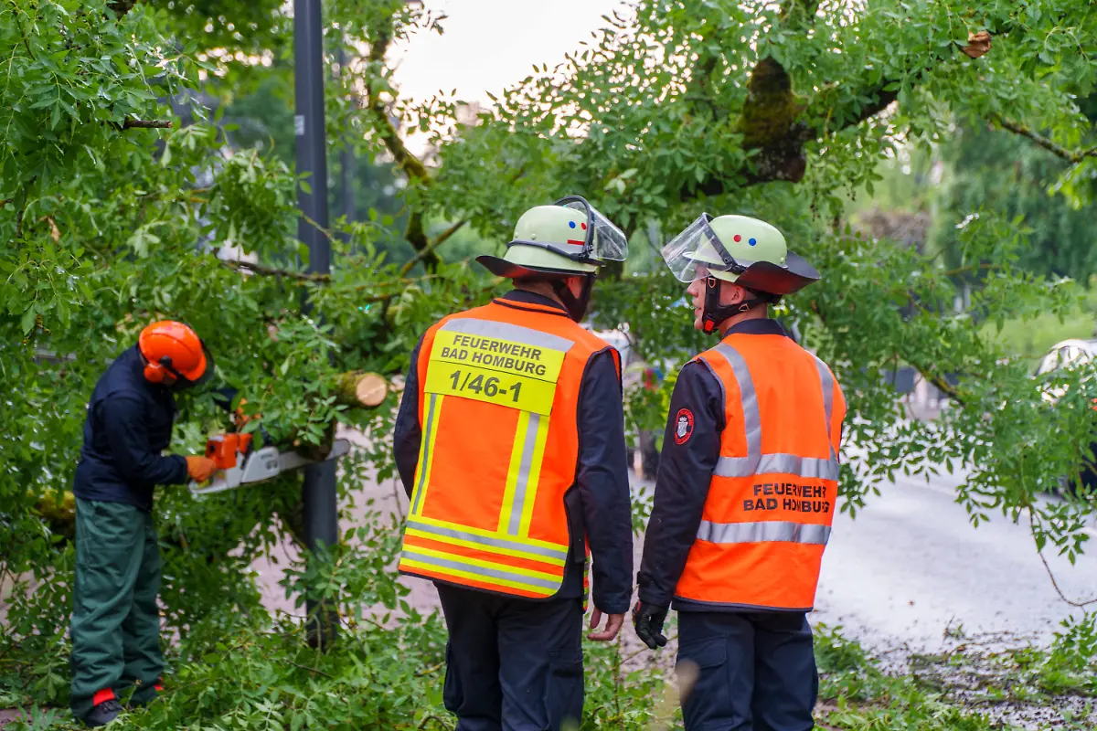 afc4b8bda6c806f0616e90f13cb085a9