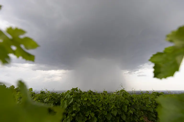 e9447440d35f2abc3c193afba99a032a