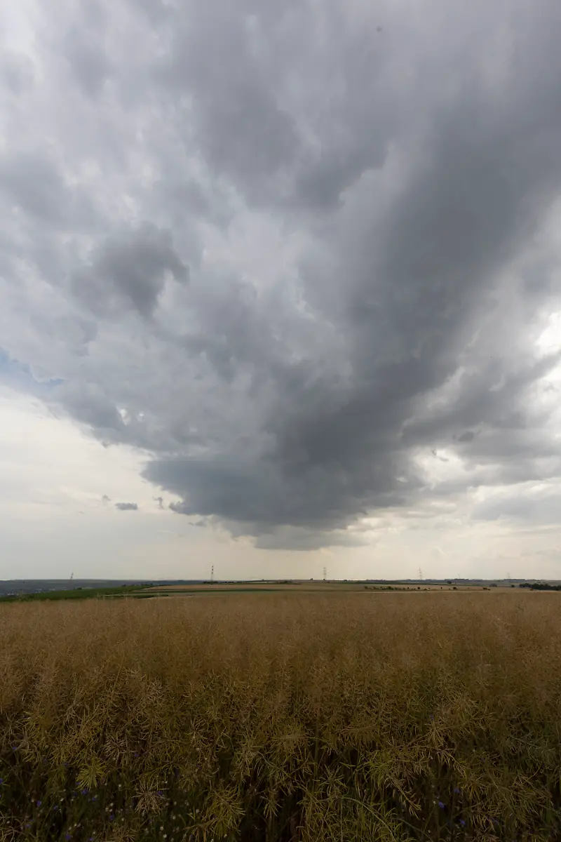 ec251a830eaeedce815e5445c62e661f