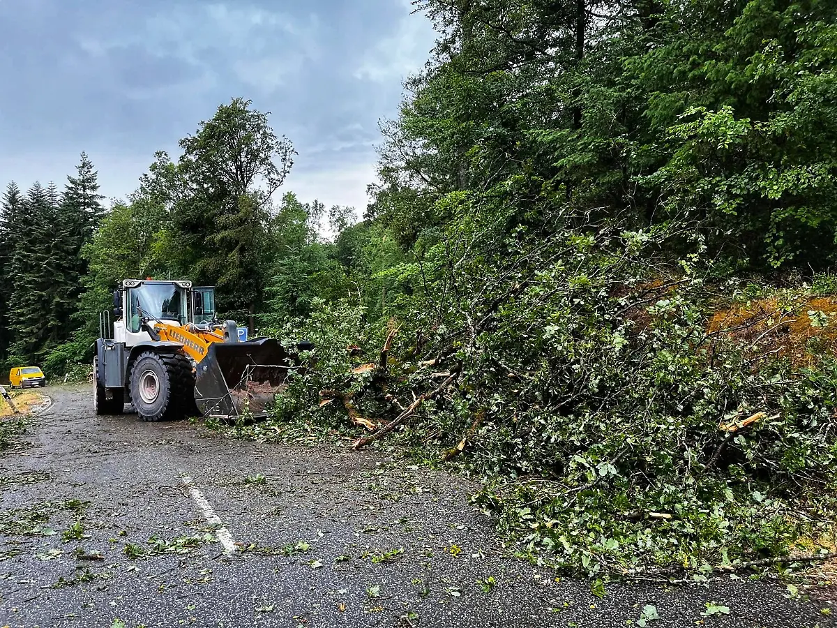 a770ad0b506ea496e60f9343cd05d4d1