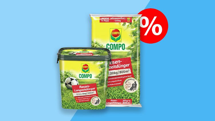 Der Langzeit-Rasendünger von Compo ist während der "Amazon Frühlingsangebote" preisreduziert erhältlich.