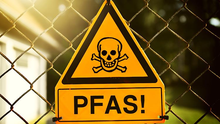 PFAS sind dem Forscherteam zufolge "beständige, sich in Organismen anreichernde und menschengemachte Schadstoffe".