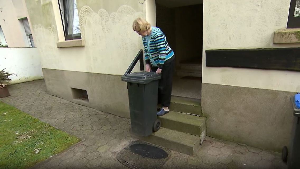 herne.JPG