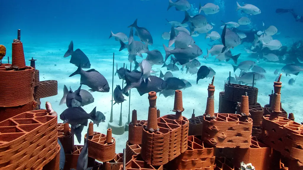 WEB-template-1920x1080px-rrreefs-12-scaled-jpg