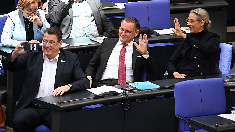 AfD-Abgeordnete Brandner, Chrupalla, Weidel im Bundestag.