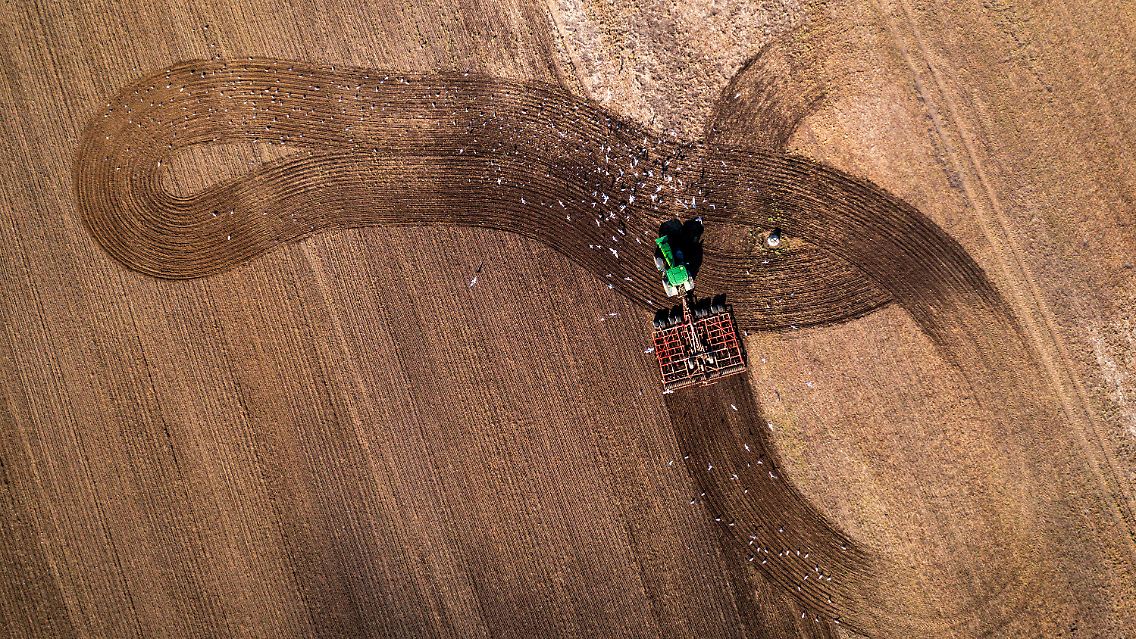 Landwirtschaft.jpg