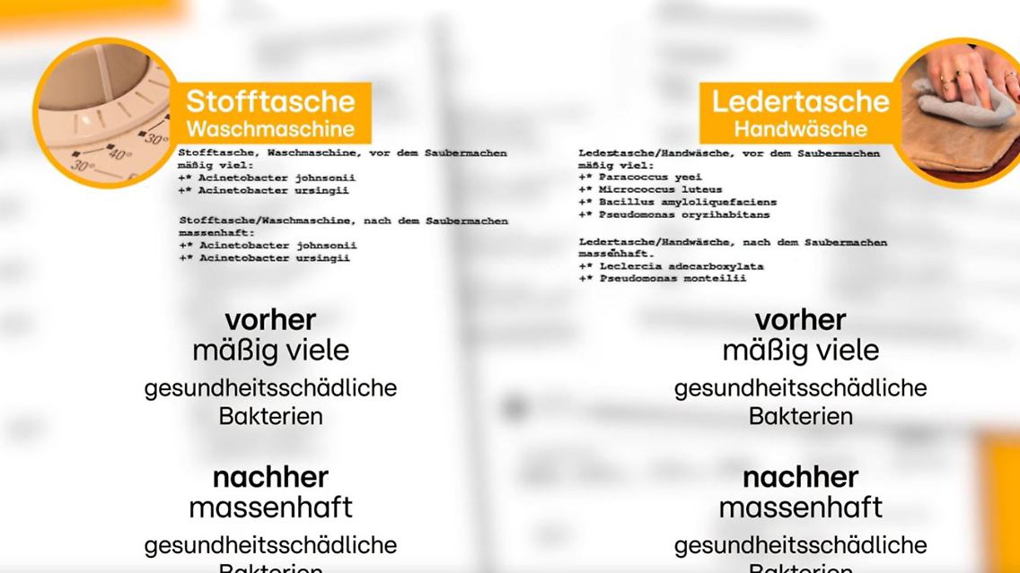Reinigung_Handtaschen.JPG