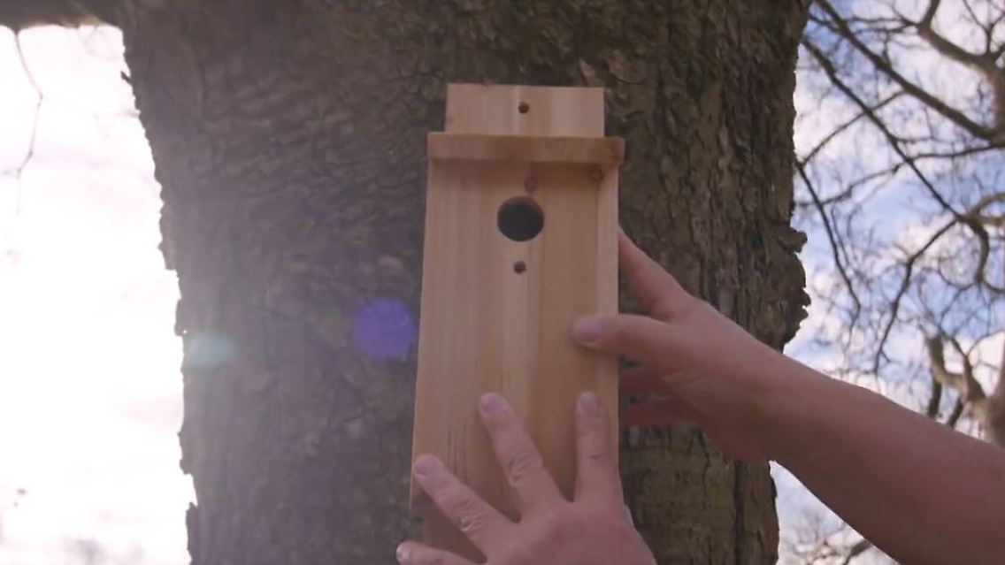 2vogelhaus.JPG