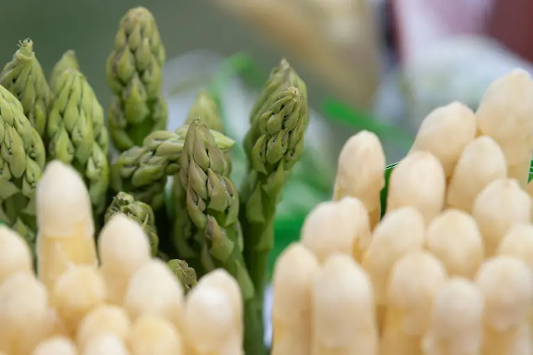 Gruener-und-weisser-Spargel-aus-regionalem-Anbau-stecken-in-einem-Korb