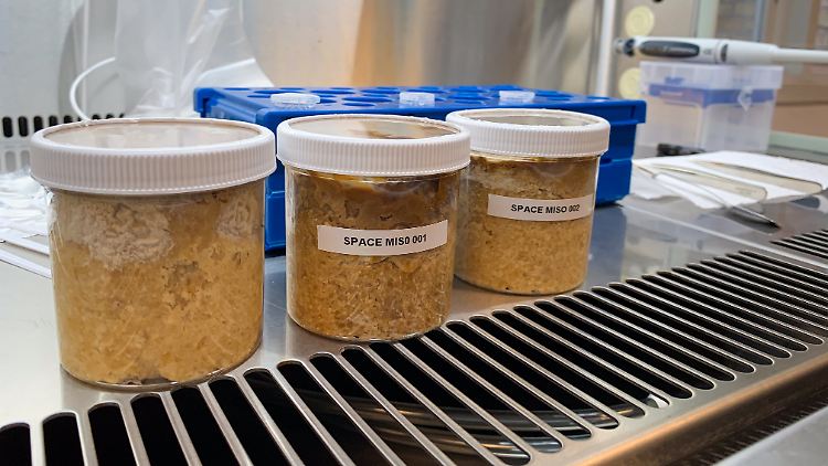 Als Space-Miso bezeichneten die Forschenden das Lebensmittel aus dem Weltraum.