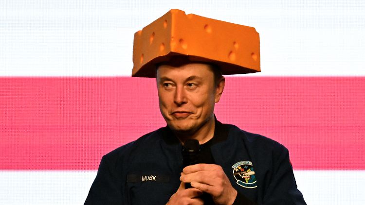 Käse auf dem Kopf: Elon Musk.