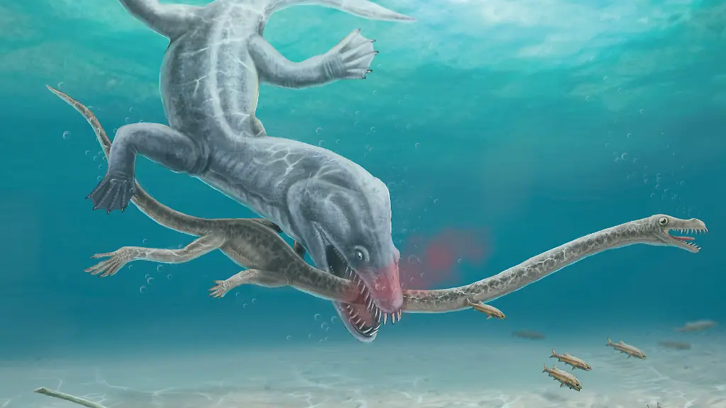 Der-lange-Hals-erhoehte-das-Sterberisiko