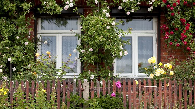 Blühende Hauswand: Kletterpflanzen wie Rosen können die Fassade verschönern.