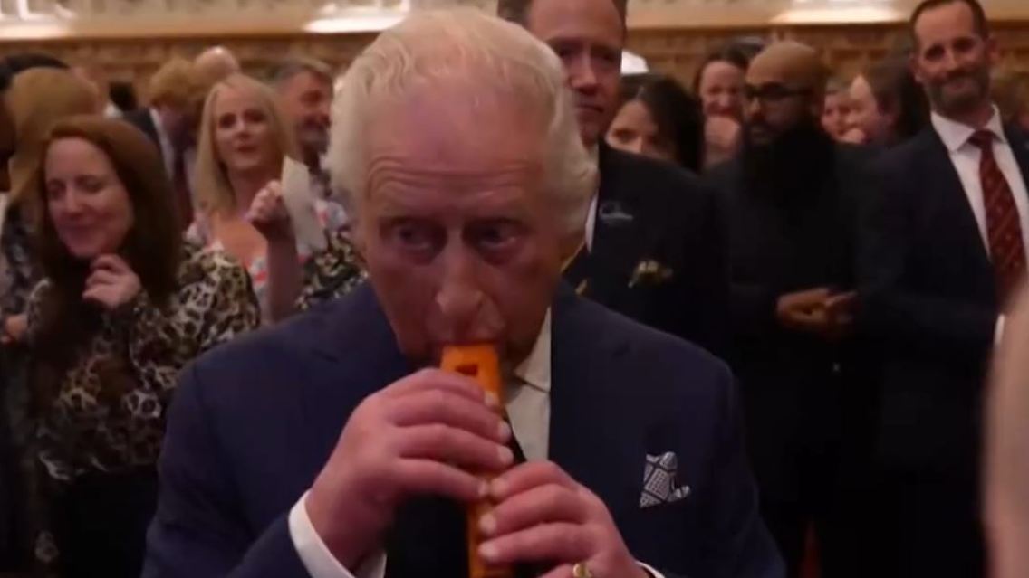 king-möhre.JPG