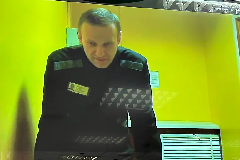 dbd772169617bb79d4503695e7cfd42a