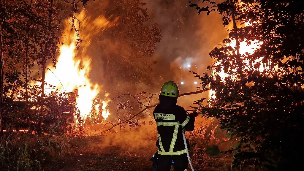 Feuerwehrleute-loeschen-ein-Feuer-an-Holzstapeln-in-einem-Waldstueck