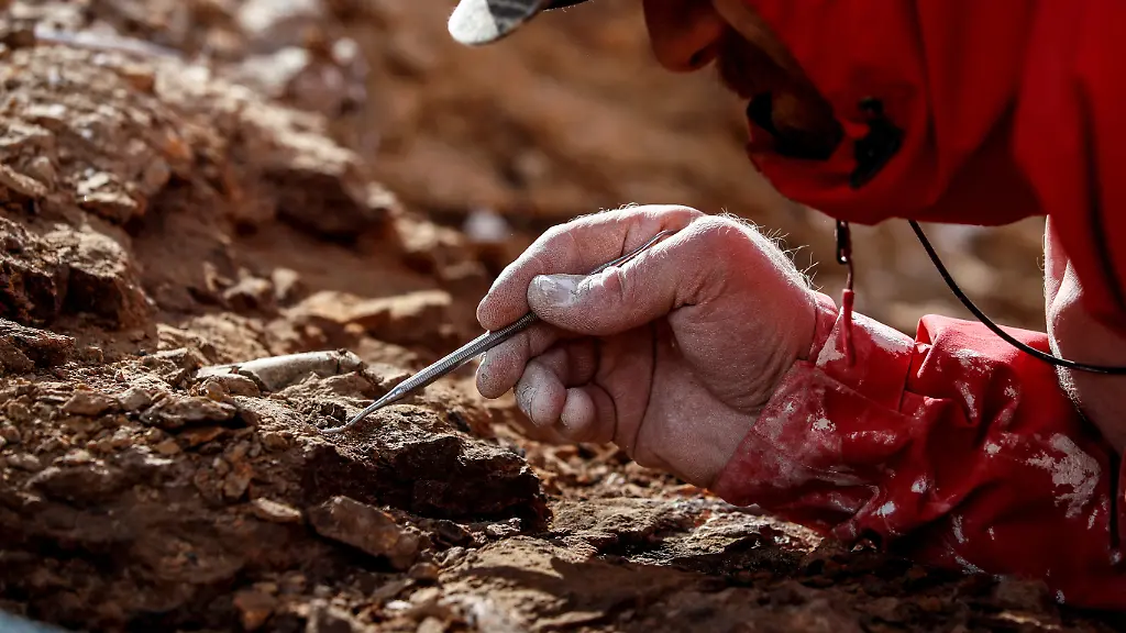 2023-06-16T182321Z-829806290-RC2R7F9A31ZS-RTRMADP-3-CHILE-DINOSAUR