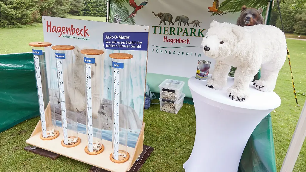 Vier-Roehren-mit-den-Namen-Smilla-Sunflower-Anouk-und-Talvi-stehen-im-Tierpark-Hagenbeck