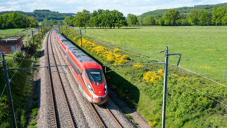 Ähnlich wie der Frecciarossa soll nach dem Willen von Italiens Bahn-Chef Donnarumma der künftige Hochgeschwindigkeitszug aussehen, der nach London fährt.