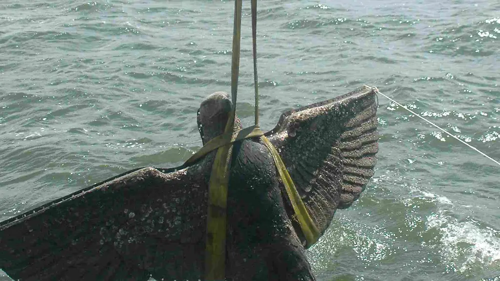 Reichsadler-der-Graf-78396494