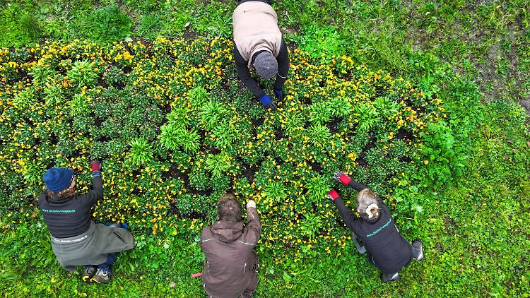 Haben Sie fleißige Helfer im Garten? Bezahlte Dienstleister können die Steuerlast ihrer Auftraggeber senken.