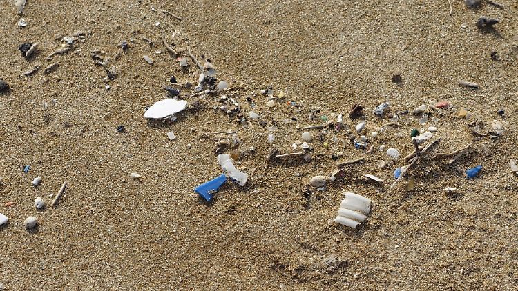 Besonders die kleinen Plastikpartikel sind extrem langlebig und schwer von der Natur abzubauen. 