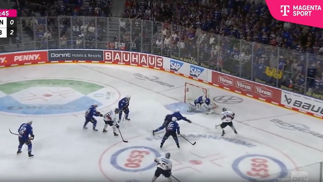 EisbärenAdler.jpg