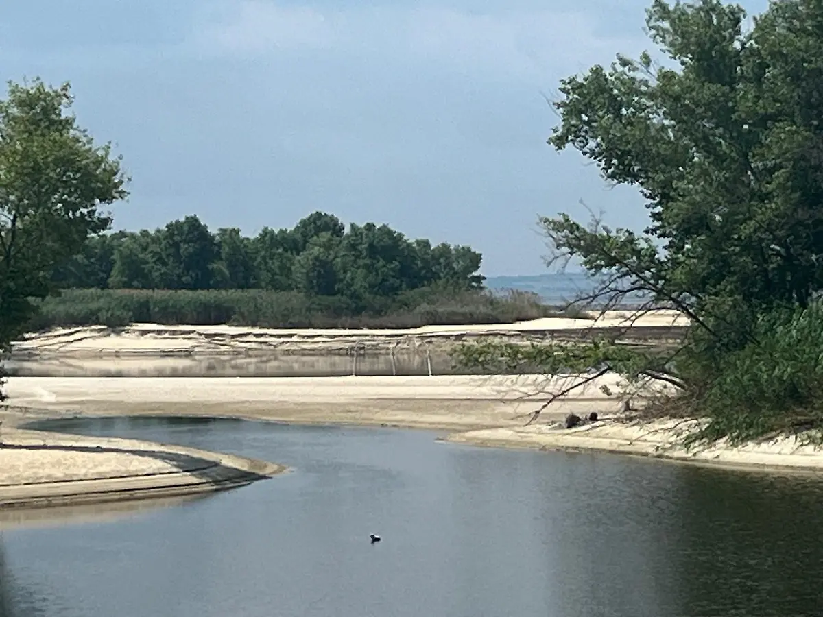 2c33f90268845902eb2a8c677cfb0264