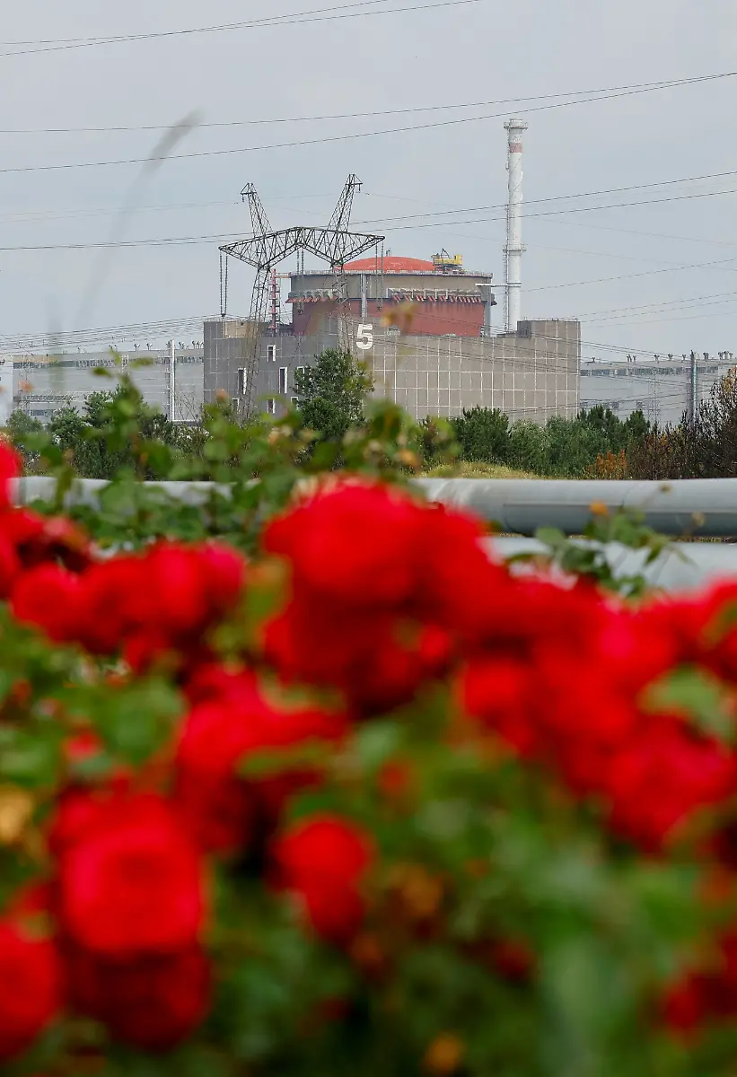 21f1f5b89ab1500265ab73bda728bc1c