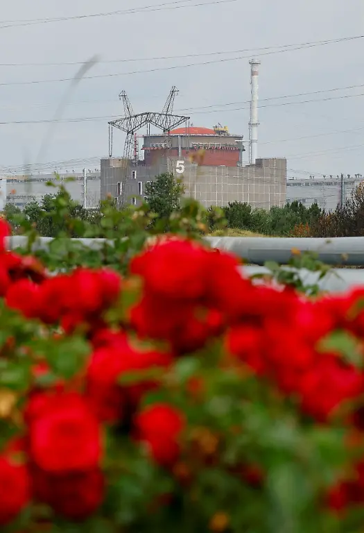 21f1f5b89ab1500265ab73bda728bc1c