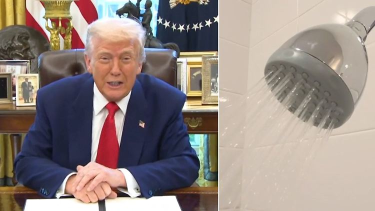 Donald Trump Duschköpfe.jpg