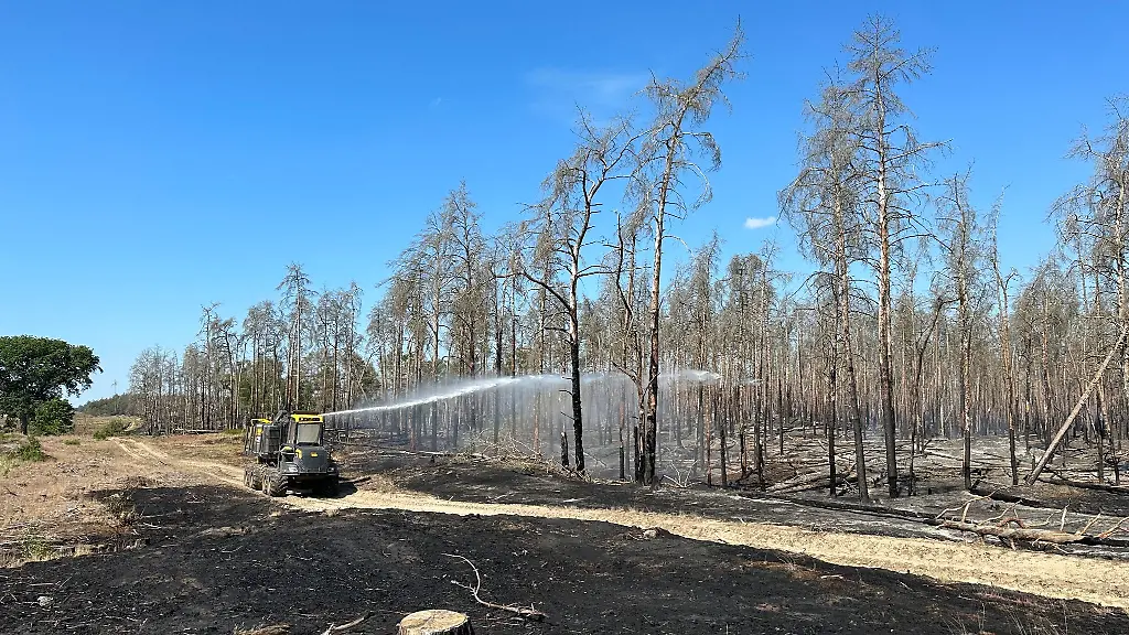 Ein-Loeschfahrzeug-ist-im-Waldbrandgebiet-bei-Luebtheen-im-Einsatz