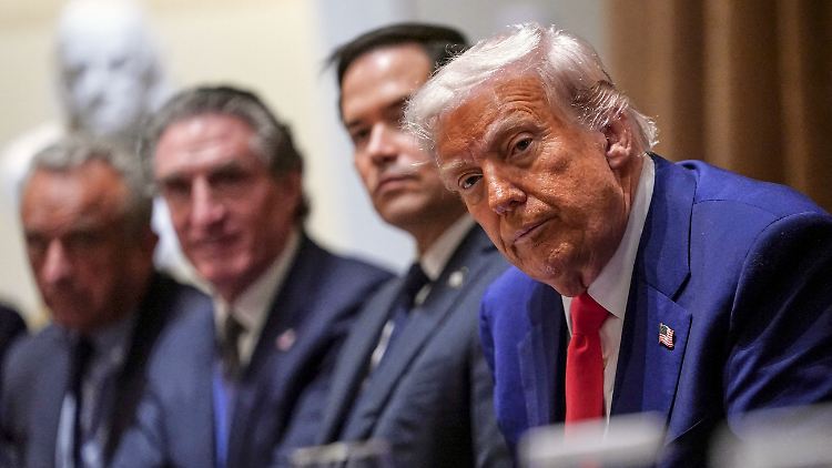"Trump hasst die EU und ihre Institutionen. Das ist eindeutig", sagt Lange, Vorsitzender des EU-Handelsausschusses.