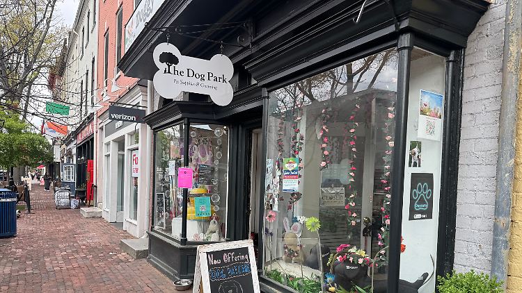 Das Schaufenster von «The Dog Park», einem Geschäft für Haustierbedarf in Virginia.