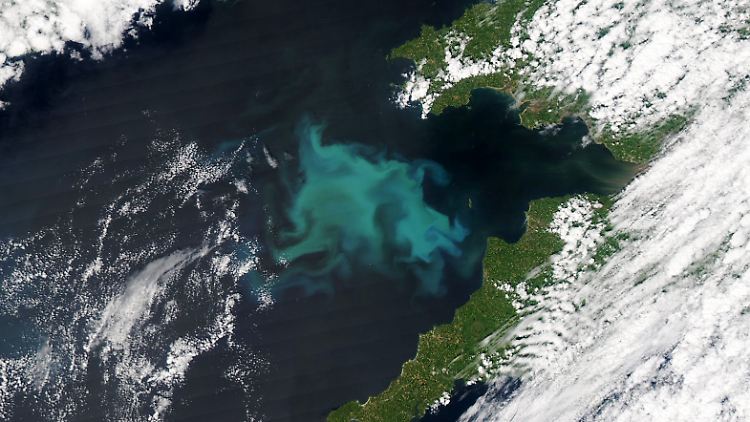 Satellitenaufnahmen zeigen ein Meeresleuchten im Bristolkanal vor der Küste Großbritanniens.