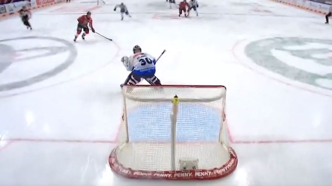 2haie.JPG