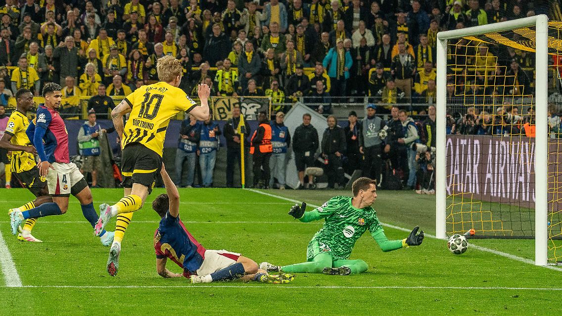 bvb2.jpg
